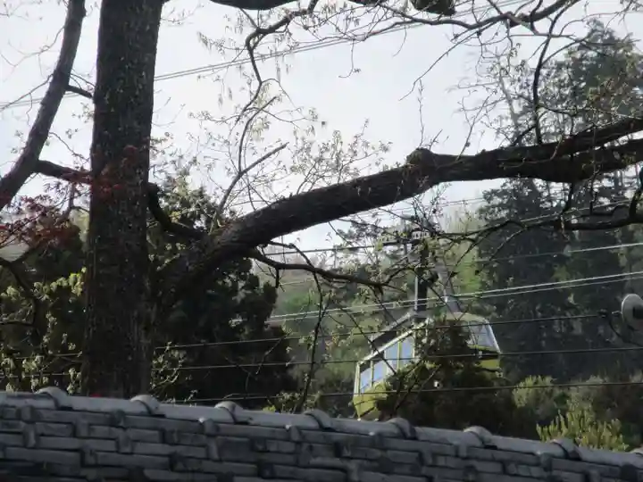 不動寺(埼玉県)