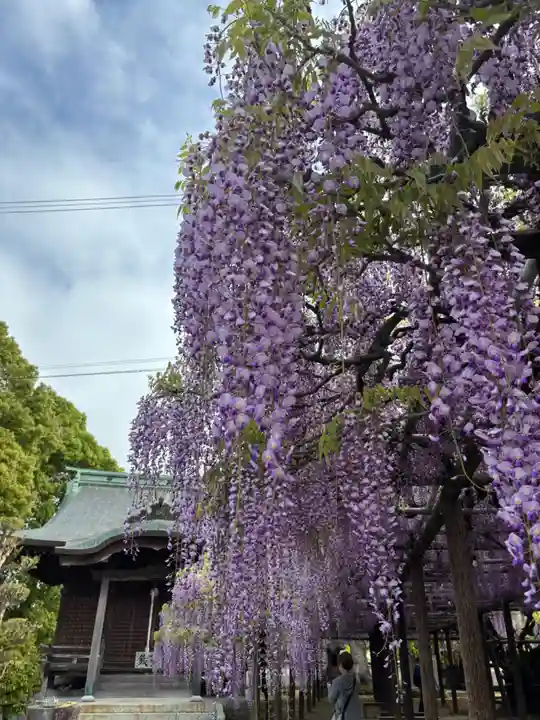 大神宮(福岡県)