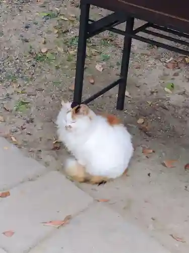阿邪訶根神社(福島県)