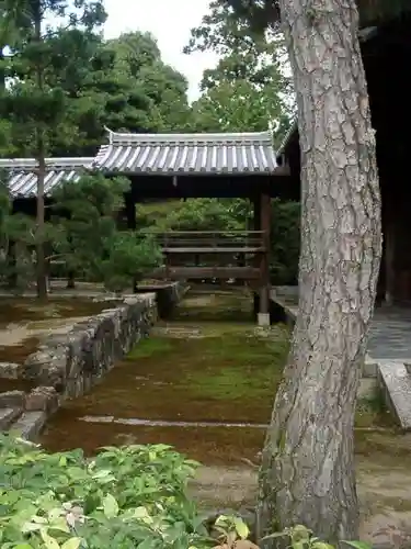 大徳寺の建物その他