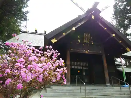 琴似神社(北海道)
