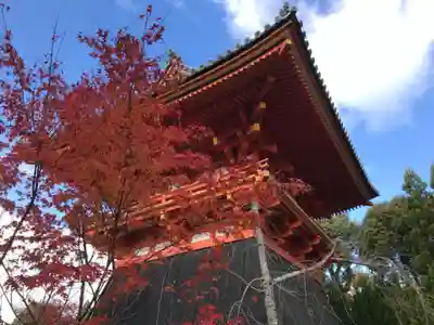 仁和寺のその他建物
