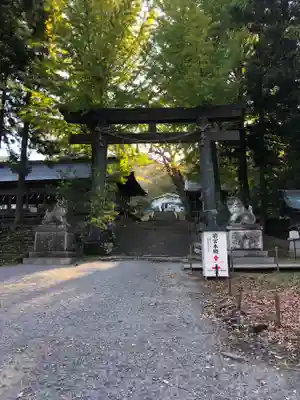 諏訪大社(長野県)