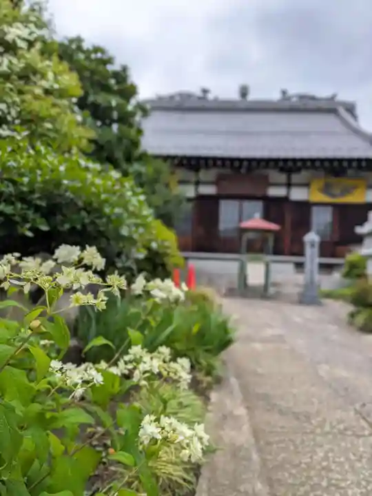 長善寺(東京都)