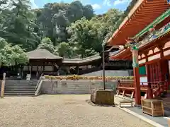 金剛寺の建物その他