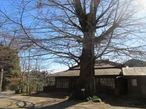 弘法山観世音(埼玉県)