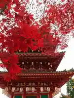 高幡不動尊 金剛寺の御朱印