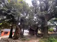日吉神社(福井県)