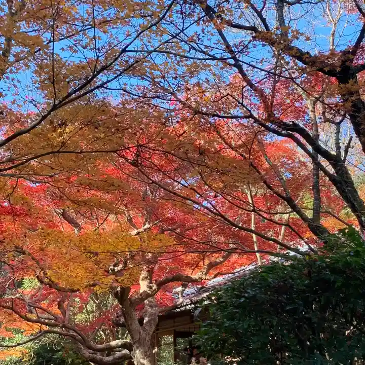 厭離庵(京都府)