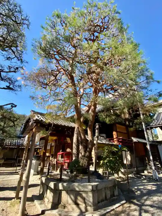 常施無畏寺 護浄院(清荒神)(京都府)