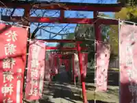 於菊稲荷神社の鳥居