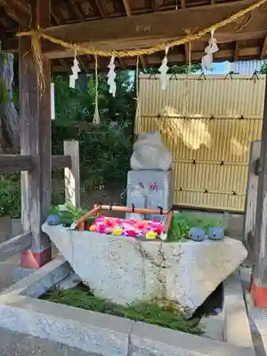 田間神社(千葉県)