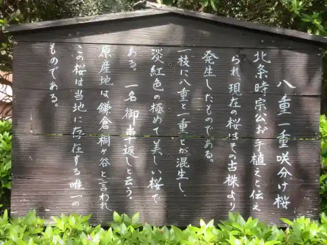 極楽寺(霊鷲山感應院極楽律寺)の歴史