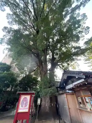 菅生神社(愛知県)