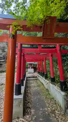 椎尾神社の鳥居