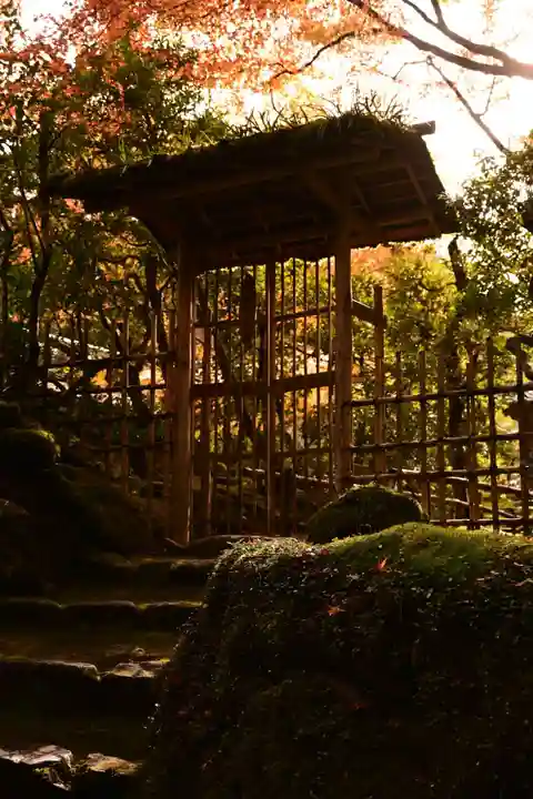 高山寺(京都府)