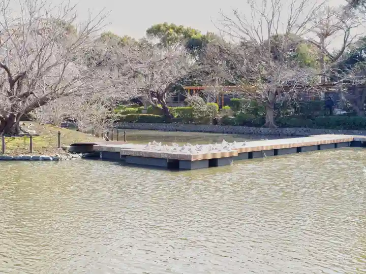 旗上弁財天社の{uncategorized: "未分類", other: "その他", undefined: "問題あり", building: "その他建物", grave: "お墓", sacred_gate: "鳥居", guardian: "狛犬", statue: "像", buddha: "仏像", history: "歴史", nature: "自然", garden: "庭園", animal: "動物", pagoda: "塔", temizu: "手水舎", mountain_gate: "山門・神門", sanctuary: "本殿・本堂", subordinate: "末社・摂社", art: "芸術", scenery: "景色", jizo: "地蔵", ema: "絵馬", goshuin: "御朱印", omikuji: "おみくじ", items: "授与品その他", amulet: "お守り", goshuincho: "御朱印帳", eats: "食事", festival: "お祭り", votive_dance: "神楽", shichigosan: "七五三参", wedding: "結婚式", experience: "体験その他", initially: "初詣", around: "周辺", anti_infection: "感染症対策"}