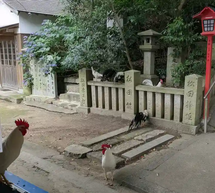 浪打八幡宮(香川県)