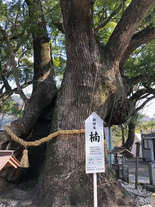 大麻比古神社の自然