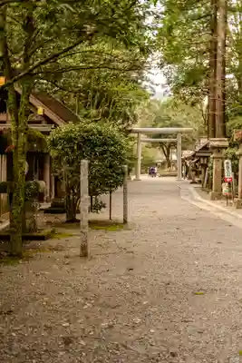 天岩戸神社(宮崎県)