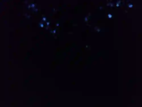 宗像大社(福岡県)