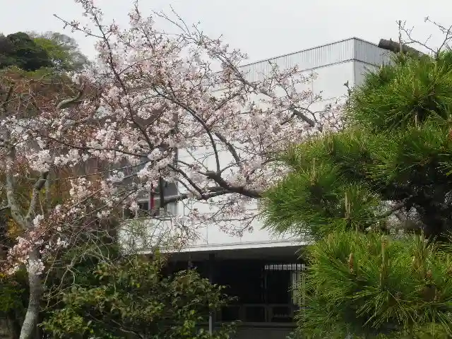 鶴岡八幡宮の自然