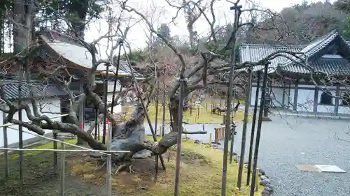 瑞巌寺の建物その他