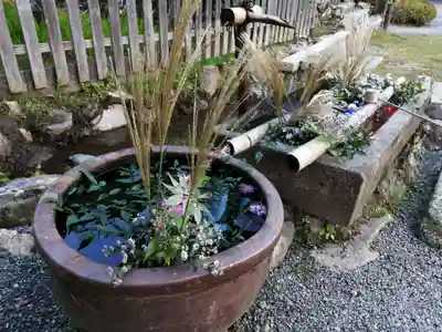 二尊院の手水舎