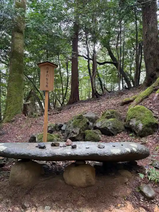 元伊勢内宮 皇大神社(京都府)