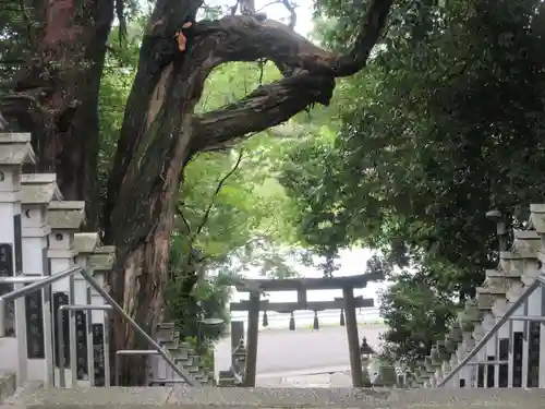 斑鳩神社(奈良県)