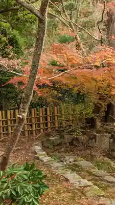 龍安寺(京都府)