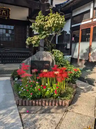 延寿寺/日荷堂(東京都)
