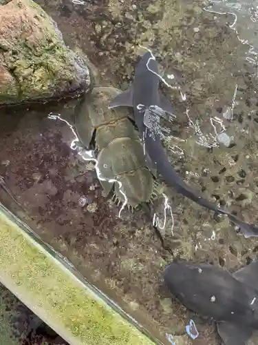 八幡宮(山口県)