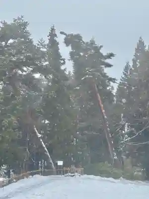 蚊里田八幡宮の{uncategorized: "未分類", other: "その他", undefined: "問題あり", building: "その他建物", grave: "お墓", sacred_gate: "鳥居", guardian: "狛犬", statue: "像", buddha: "仏像", history: "歴史", nature: "自然", garden: "庭園", animal: "動物", pagoda: "塔", temizu: "手水舎", mountain_gate: "山門・神門", sanctuary: "本殿・本堂", subordinate: "末社・摂社", art: "芸術", scenery: "景色", jizo: "地蔵", ema: "絵馬", goshuin: "御朱印", omikuji: "おみくじ", items: "授与品その他", amulet: "お守り", goshuincho: "御朱印帳", eats: "食事", festival: "お祭り", votive_dance: "神楽", shichigosan: "七五三参", wedding: "結婚式", experience: "体験その他", initially: "初詣", around: "周辺", anti_infection: "感染症対策"}