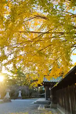 三嶋大社(静岡県)