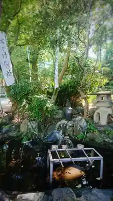 若宮神明社の手水舎