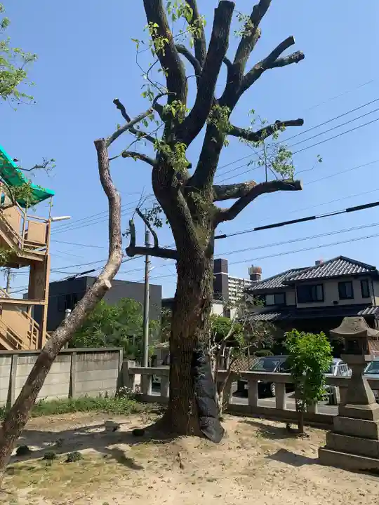 大御霊神社(愛知県)
