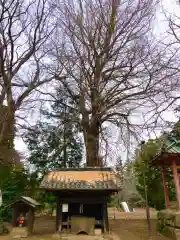 逢善寺(茨城県)