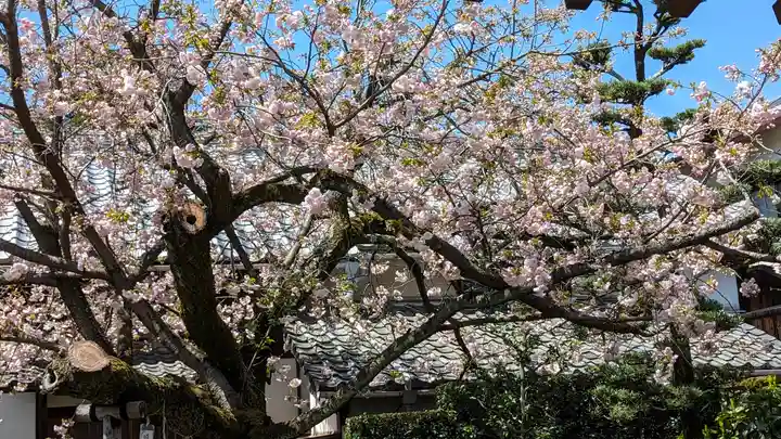 龍華院(京都府)