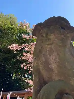 中山神社(埼玉県)