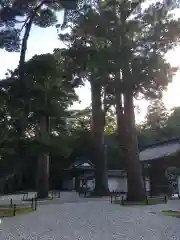 瑞巌寺の自然