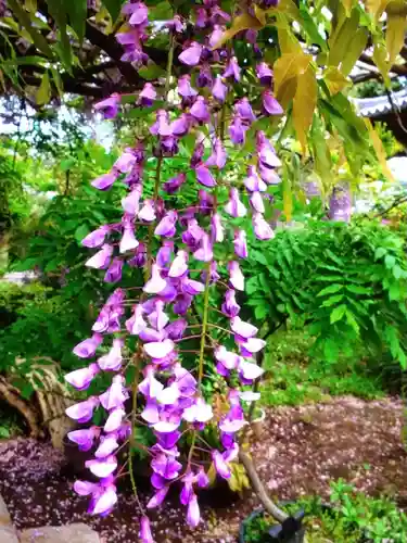 圓照寺(東京都)