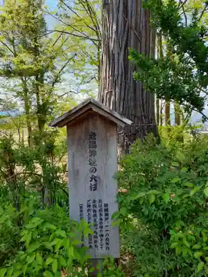 走湯神社の自然