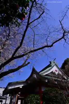元町厳島神社(神奈川県)