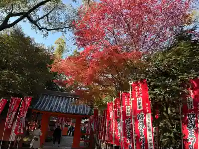 住吉大社の山門・神門