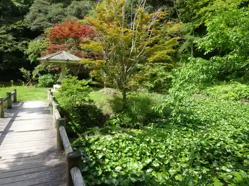 小松寺の庭園