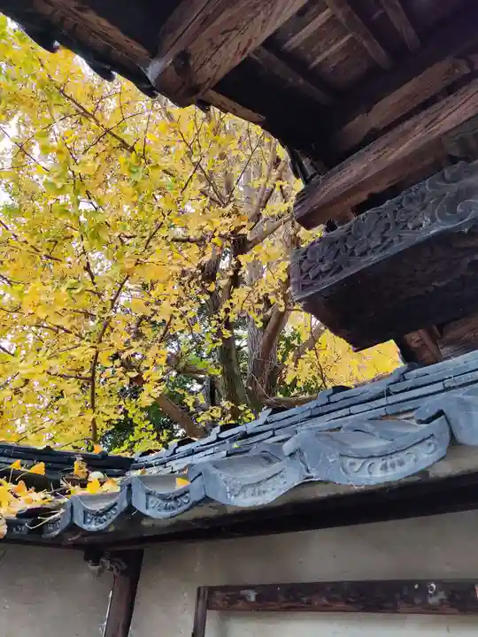祐専寺のその他建物