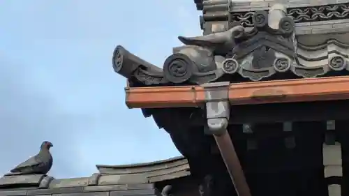 若宮八幡神社(滋賀県)