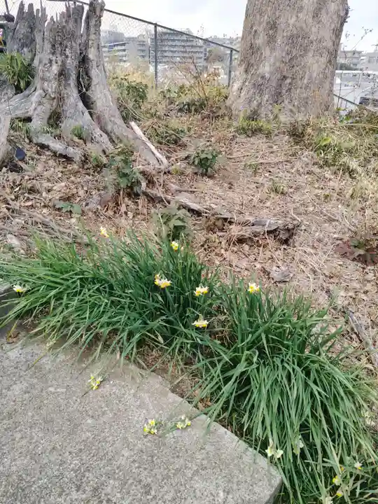 稲荷社(神奈川県)