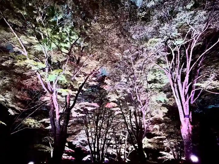 土津神社|こどもと出世の神さま(福島県)